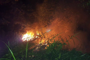 Kalbar Masuki Fase Kering, Polda Imbau Warga Tak Bakar Lahan Selama Januari