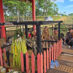 Momentum Sakral di Rumah Betang Dori’ Mpulor, Tokoh Adat dan Forkopimda Sanggau Gelar Ritual Nek Lanai