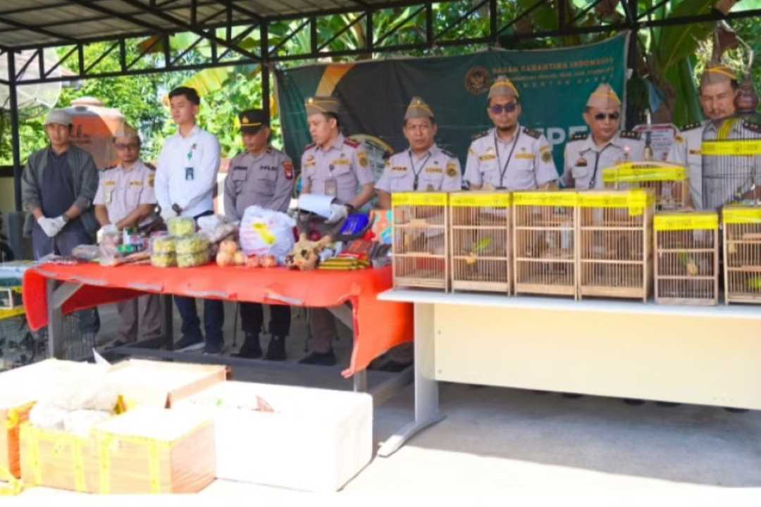 Karantina Kalbar Musnahkan Komoditas Ilegal dan Gagalkan Penyelundupan 434 Burung Berkicau