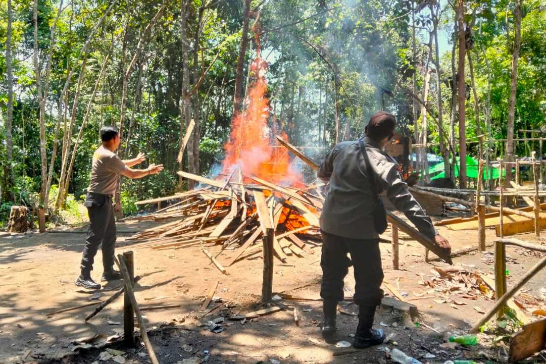 Sikat Habis Judi, Dua Arena Sabung Ayam dan Kolok-kolok di Kapuas Hulu Dibakar