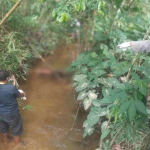 Lansia Hilang Sepekan Ditemukan Meninggal di Sungai Remoncok Sanggau