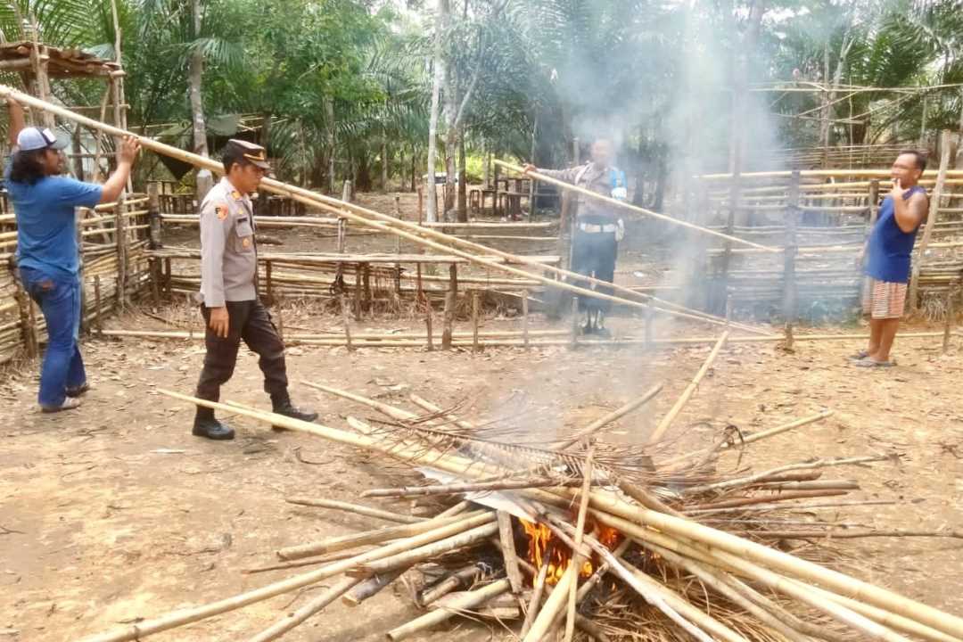 Grebek Lokasi Sabung Ayam di Kecamatan Dedai, Petugas Ratakan Bangunan Tak Berpenghuni dengan Api