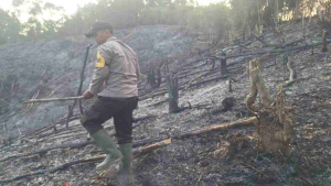 Hotspot Muncul di Bonti, Polisi Temukan Lahan Bekas Terbakar dan Perkuat Pencegahan Karhutla