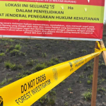 Ini 9 Perusahaan di Kalbar Kena Sanksi Kementerian Kehutanan Buntut Kebakaran Hutan dan Lahan