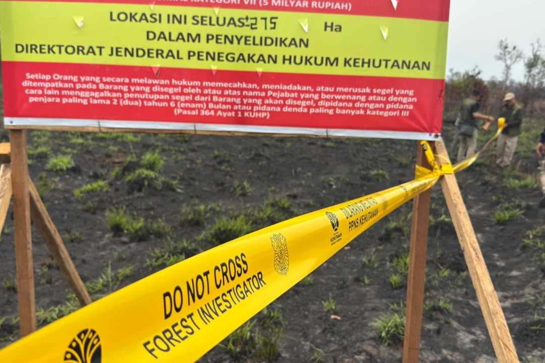 Ini 9 Perusahaan di Kalbar Kena Sanksi Kementerian Kehutanan Buntut Kebakaran Hutan dan Lahan